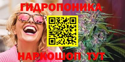 спиды Камышлов