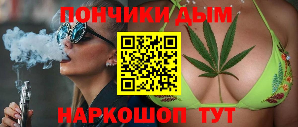 Конопля сатива Йошкар-Ола